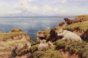 unknow artist Sheep 164 France oil painting artist